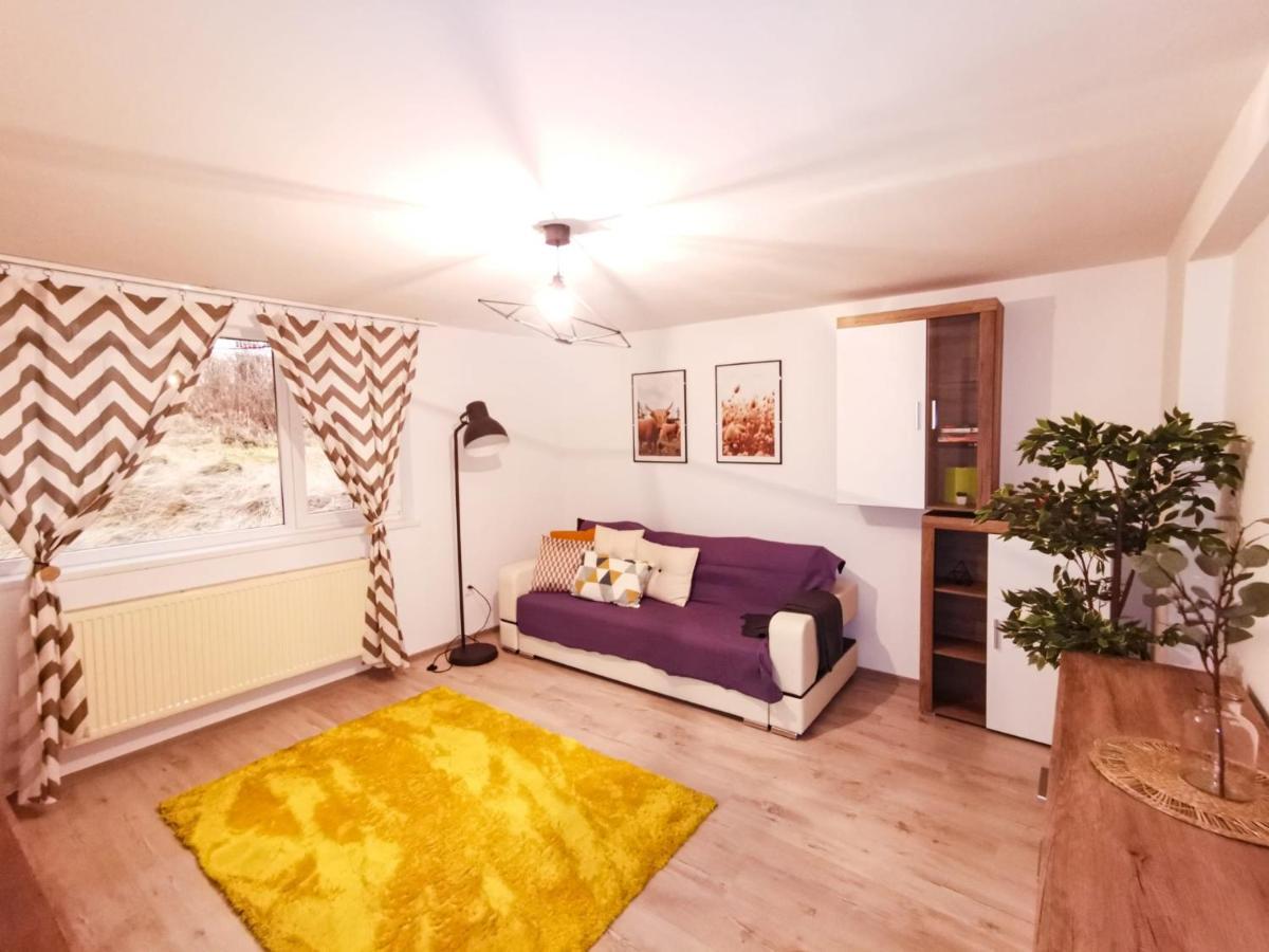 105500 Apartment Buşteni Exterior foto