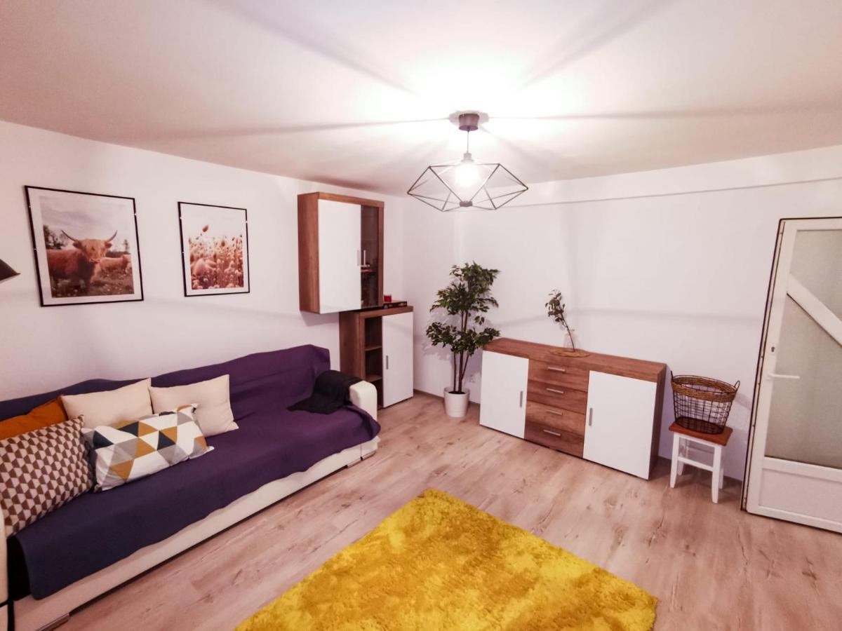 105500 Apartment Buşteni Exterior foto
